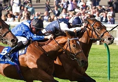 palmerbet odds|ll Palmerbet Review ᐈ High Odds for Racing and Sports.